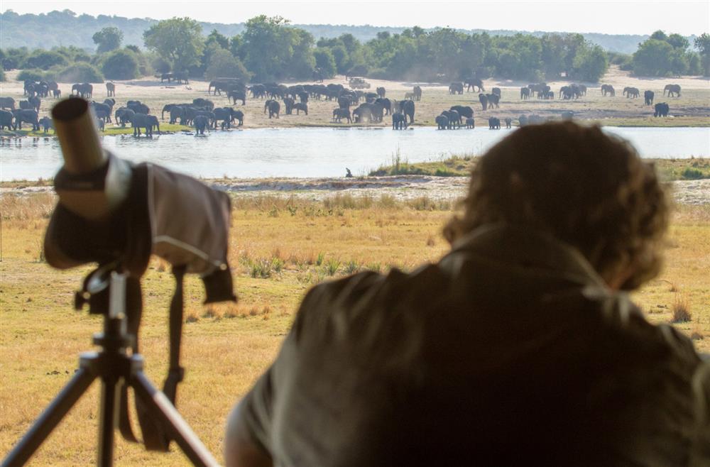 Chobe Savanna Lodge